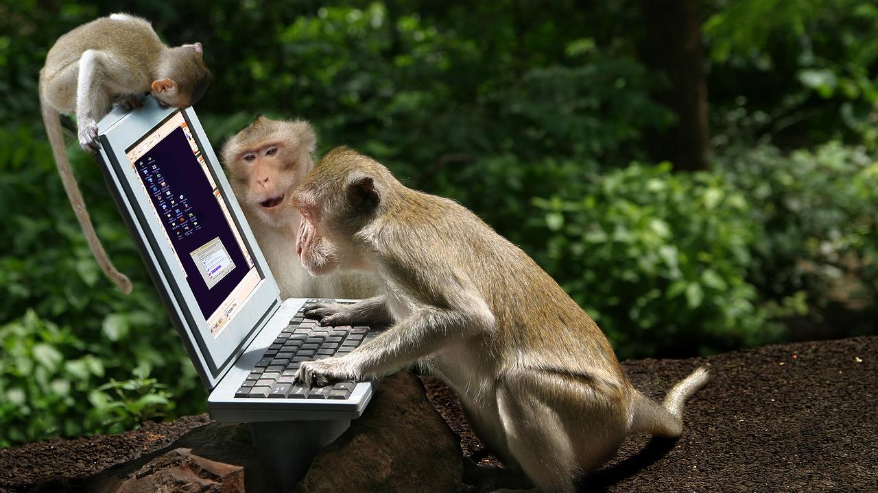 Artikelbild