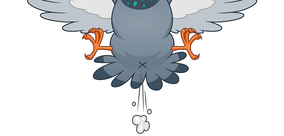 Artikelbild