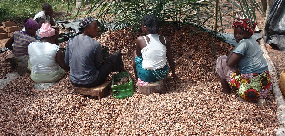 Berichte Uber Kinderarbeit In Afrika Warum Der Schokoladenanbau Nicht Bose Ist Volker Seitz Eigentumlich Frei