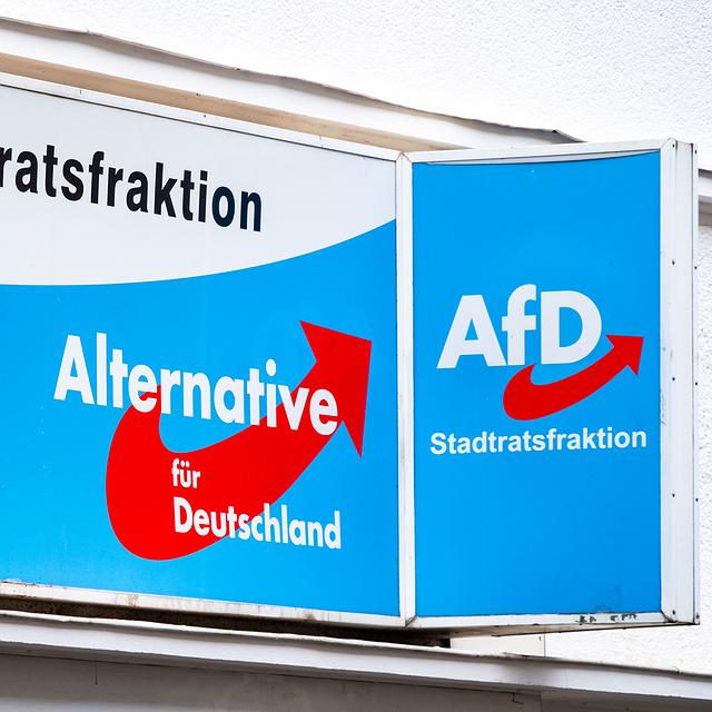 Artikelbild